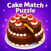 Cake Match Puzzle