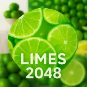 Limes 2048